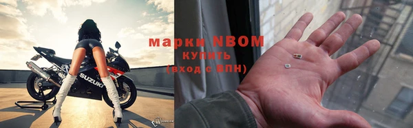прущие грибы Нея