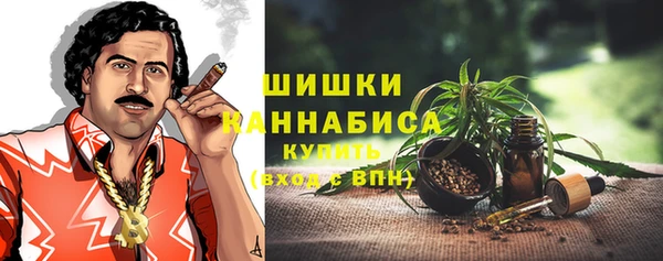 дмт Надым