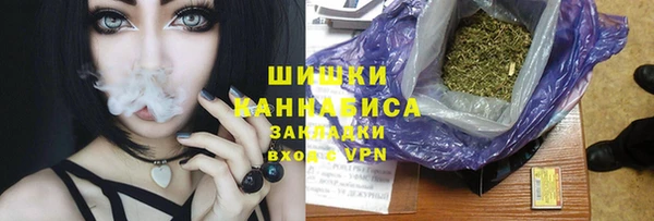 прущие грибы Нея