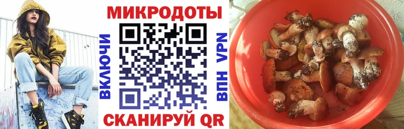 Купить где  Котельники  Галлюциногенные грибы прущие грибы 